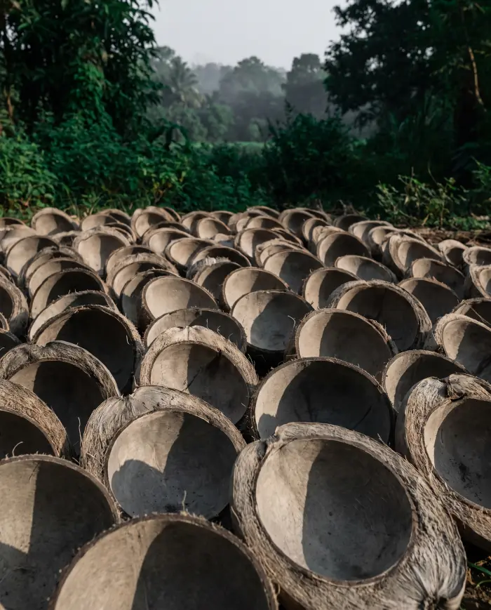 Dozens of cut coconut shell halves packed together, husk fibre still on their rims, side light picking out the curve of each shell.